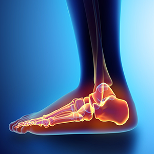 The Podiatry Centre Sydney | PH (02) 9525 8446